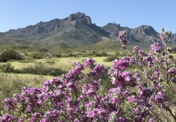 Big Bend National Park