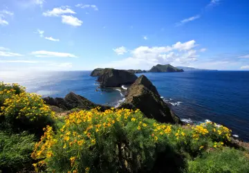 Channel Islands National Park