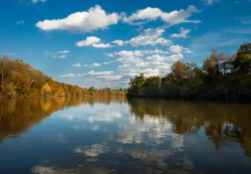 Congaree National Park