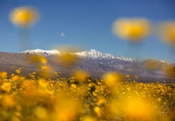 Death Valley National Park