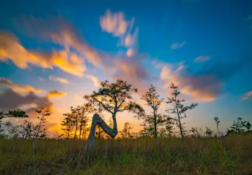 Everglades National Park