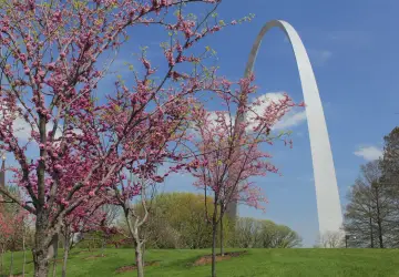 Gateway Arch