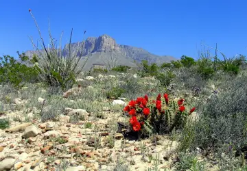 Guadalupe Mountains National Park