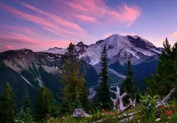 Mount Rainier National Park