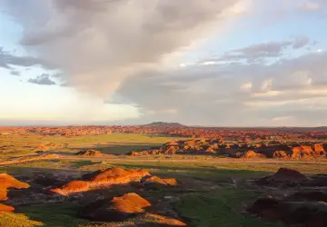 Petrified Forest National Park